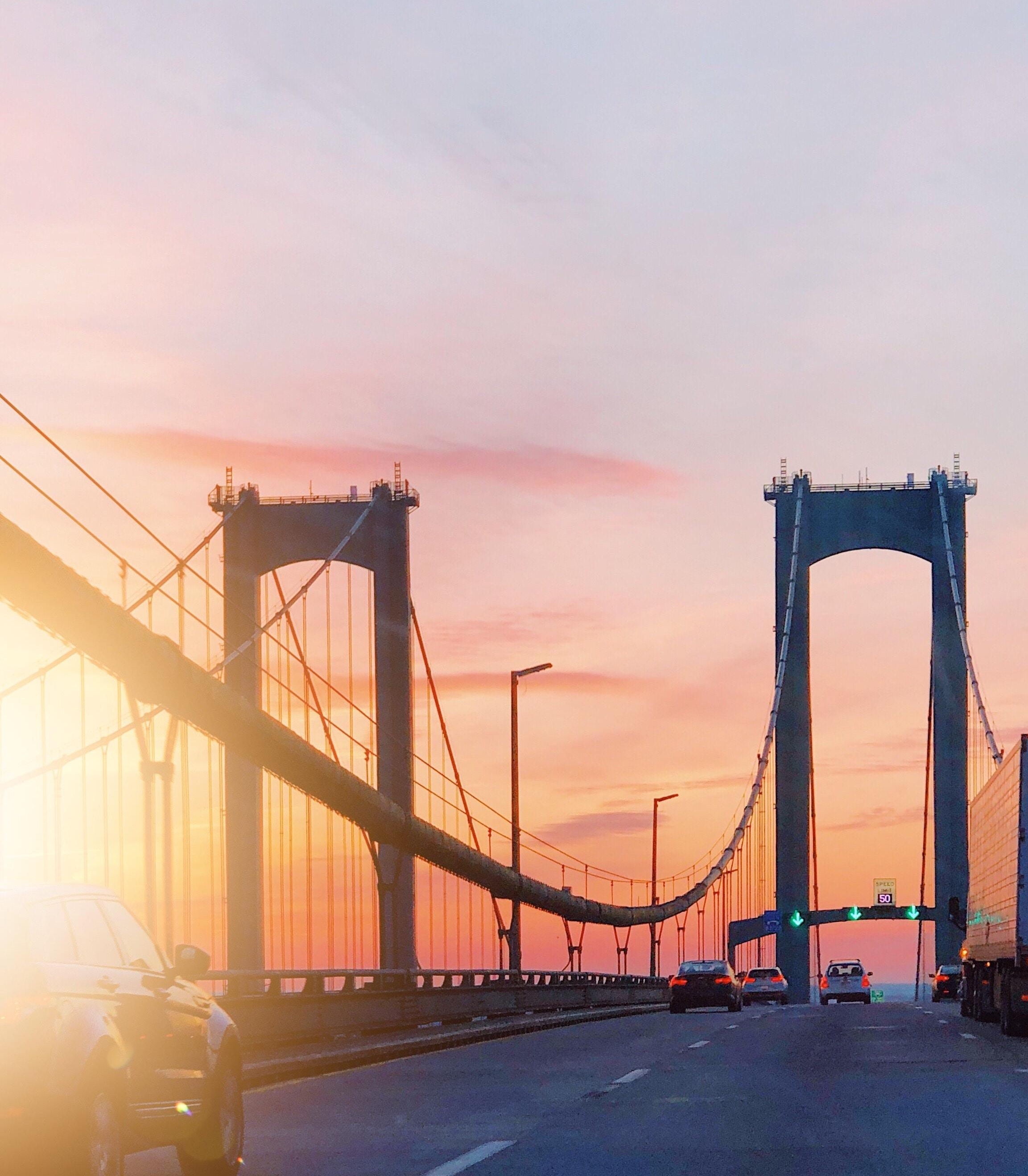 Delaware Memorial Bridge