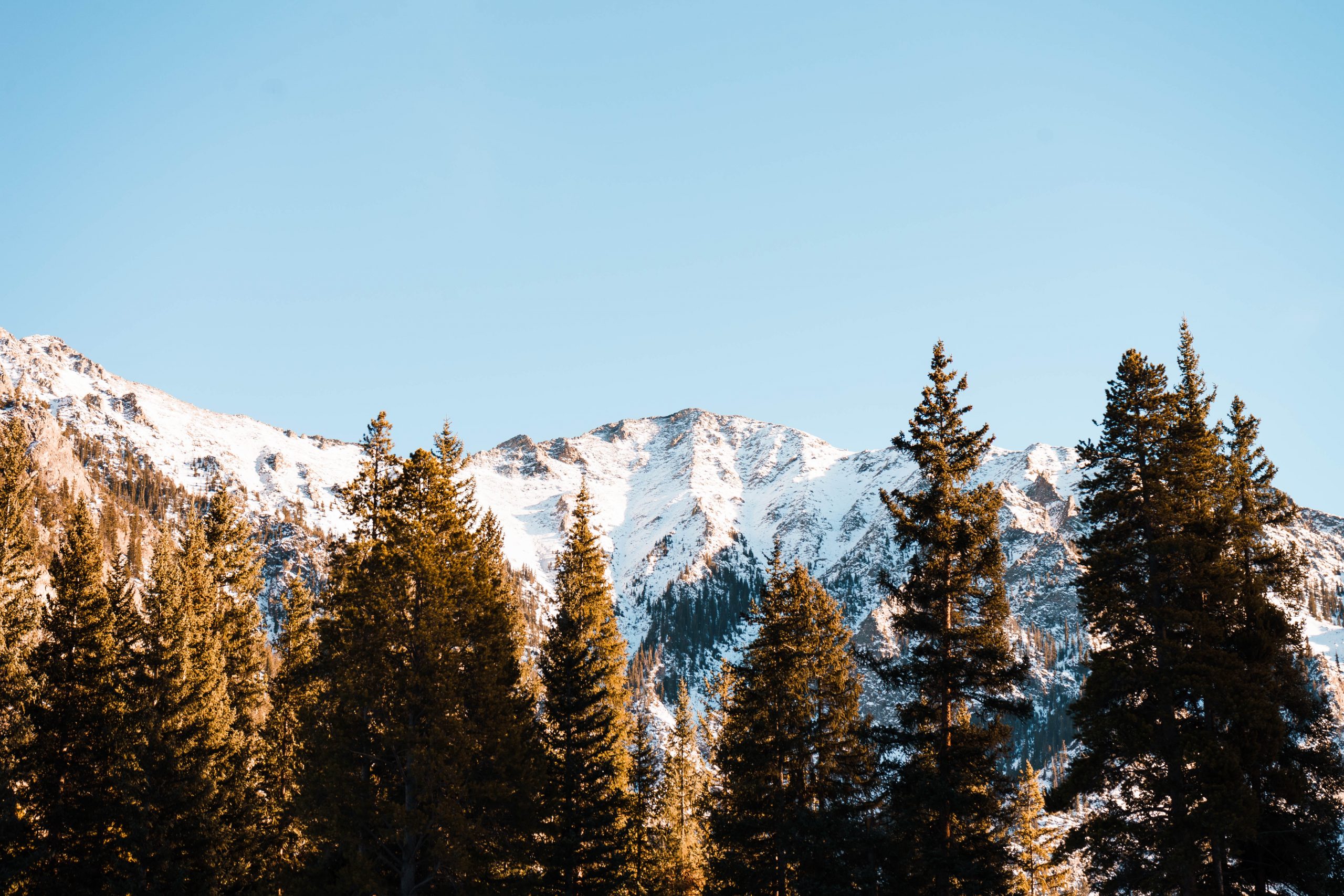 Colorado registered agent